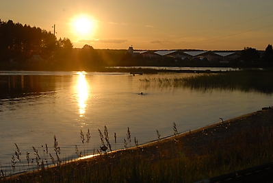 ForumSeliger2012